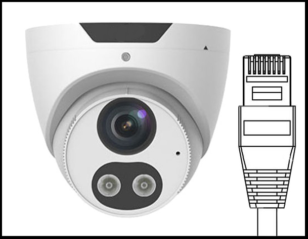 IP CCTV Cameras (Network Cameras)