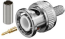 75 ohm BNC Crimp Plug with Gold Plated Pin 75 ohm BNC Crimp Plug with Gold Plated Pin