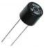 1.6A Radial Anti-Surge Fuse 1.6A Radial Anti-Surge Fuse